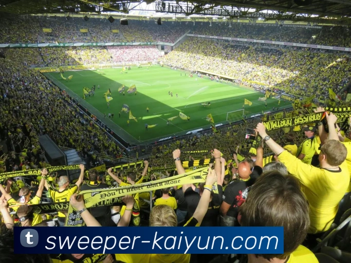 多媒体互动体验